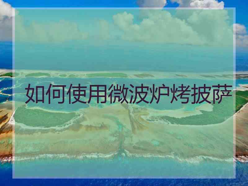 如何使用微波炉烤披萨