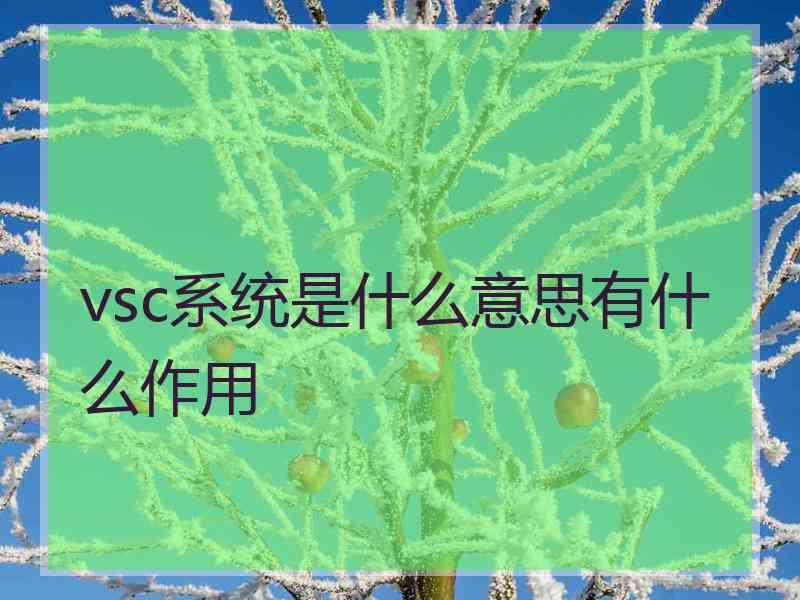 vsc系统是什么意思有什么作用