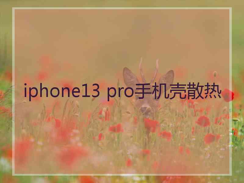 iphone13 pro手机壳散热