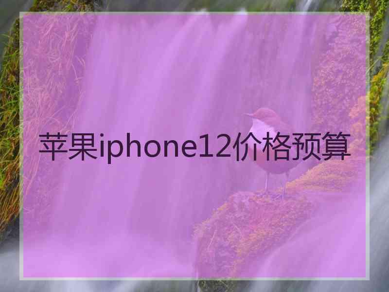 苹果iphone12价格预算