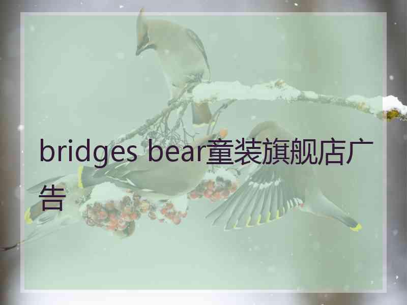 bridges bear童装旗舰店广告