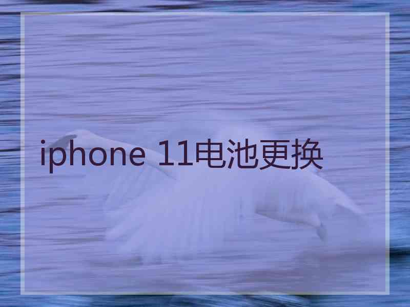 iphone 11电池更换