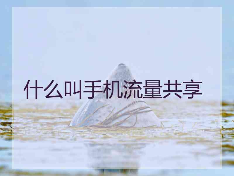 什么叫手机流量共享