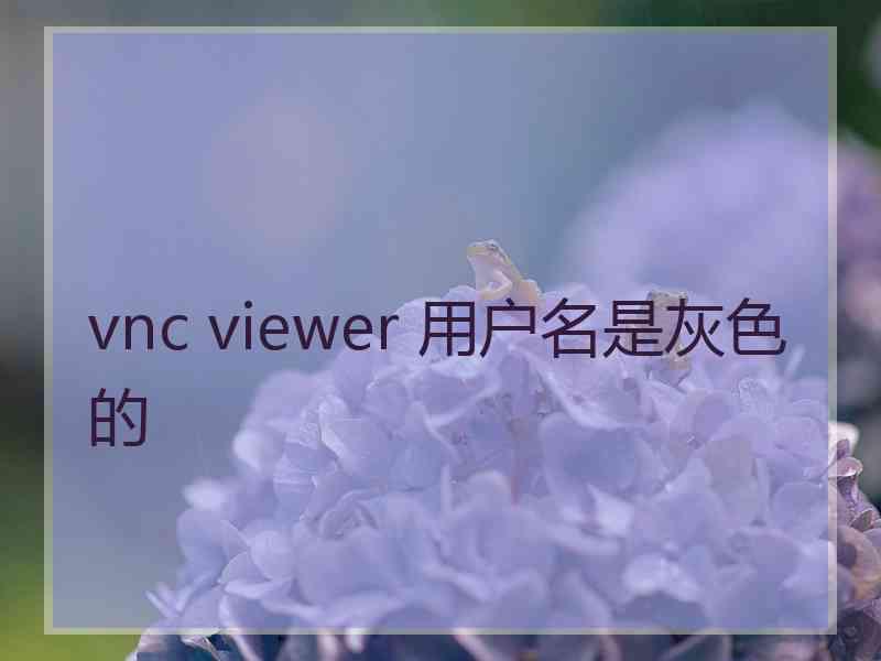 vnc viewer 用户名是灰色的