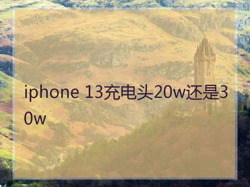 iphone 13充电头20w还是30w