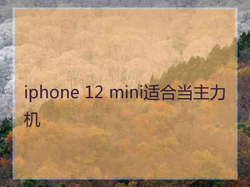 iphone 12 mini适合当主力机