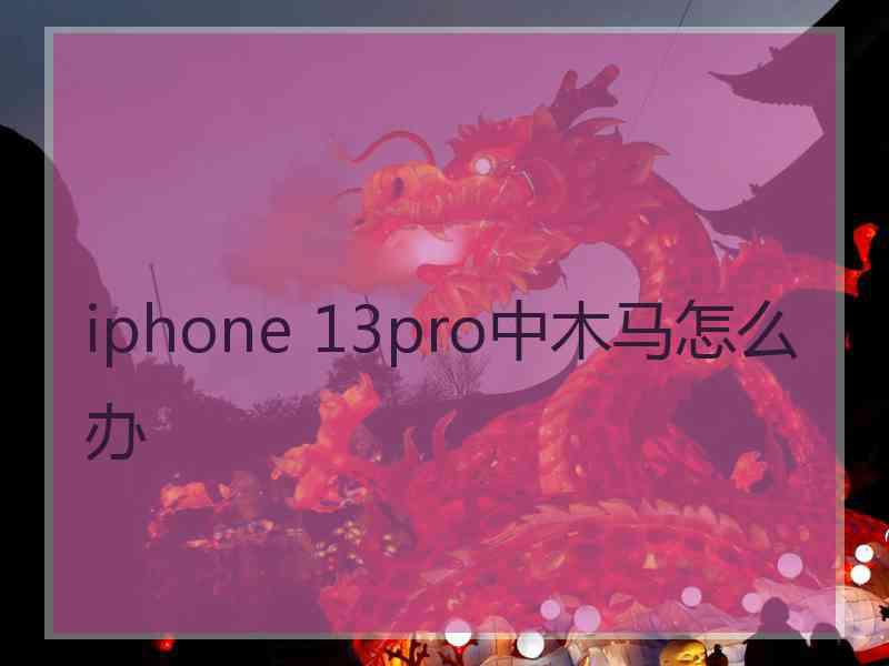 iphone 13pro中木马怎么办