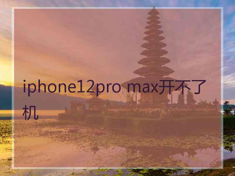 iphone12pro max开不了机