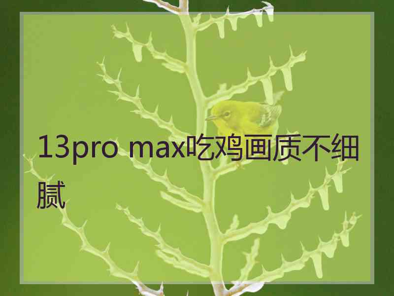 13pro max吃鸡画质不细腻