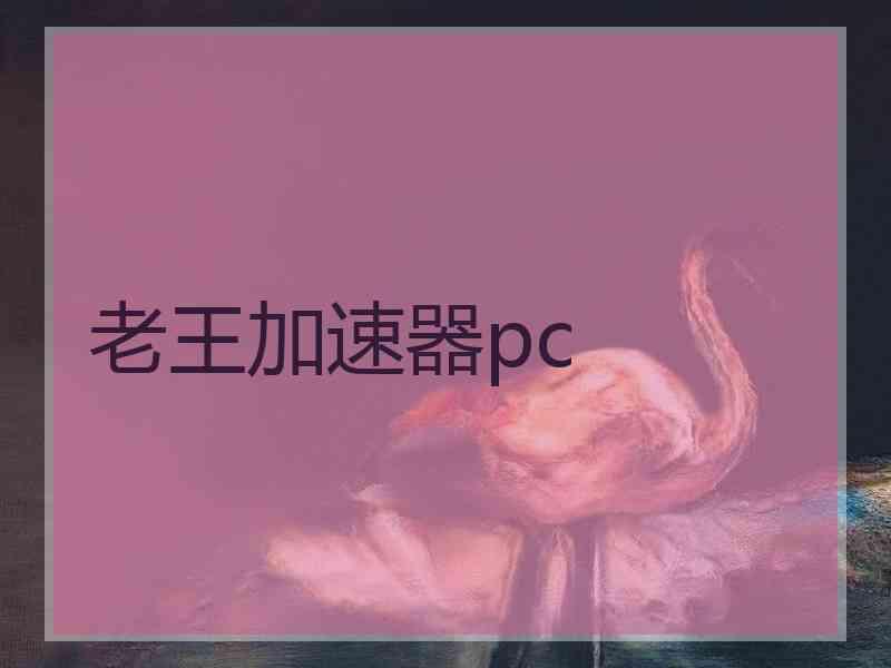 老王加速器pc