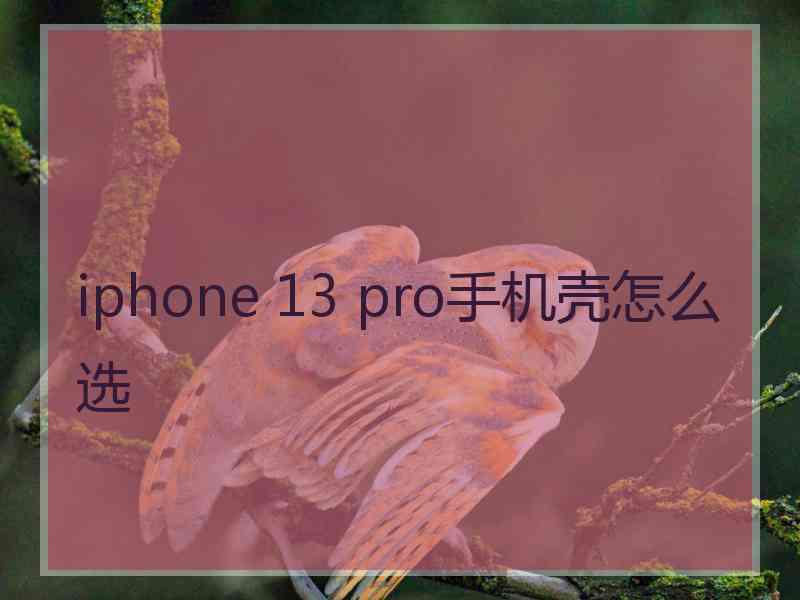 iphone 13 pro手机壳怎么选