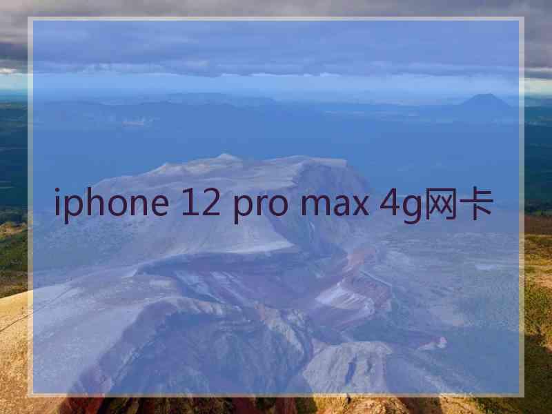 iphone 12 pro max 4g网卡