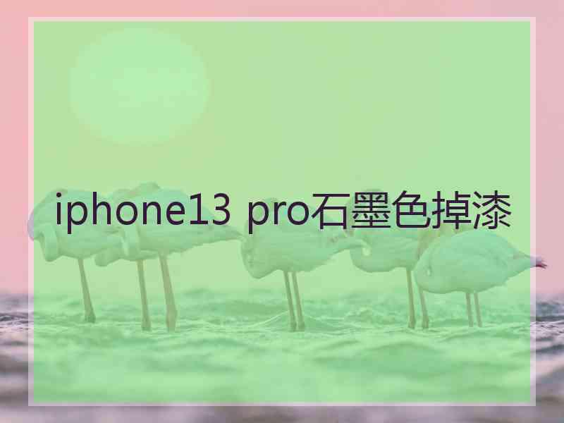 iphone13 pro石墨色掉漆