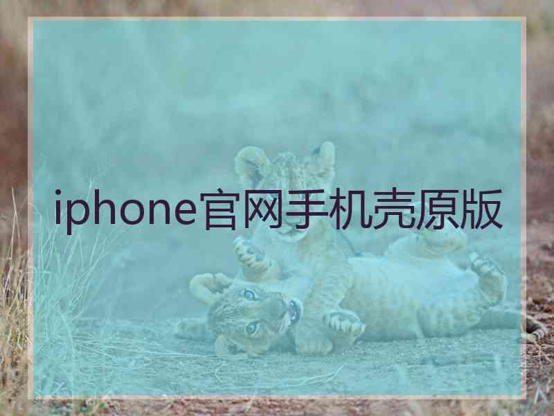 iphone官网手机壳原版