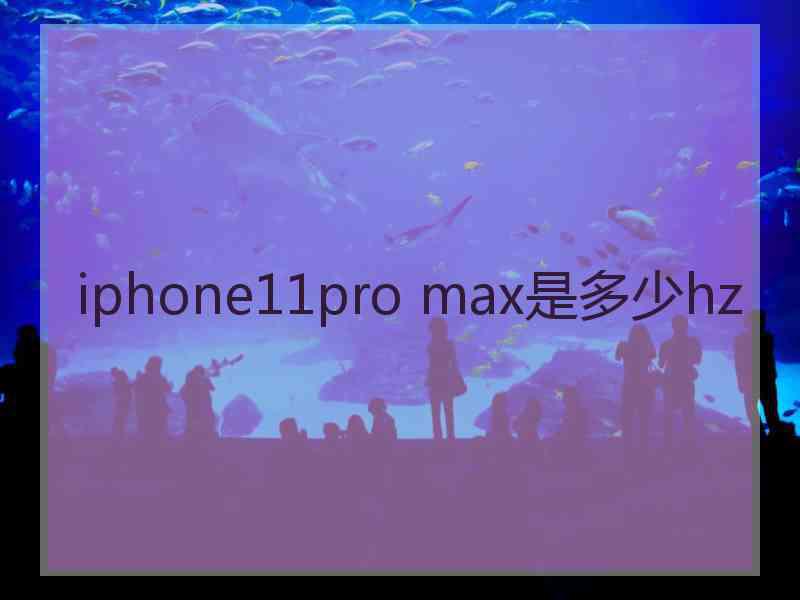 iphone11pro max是多少hz