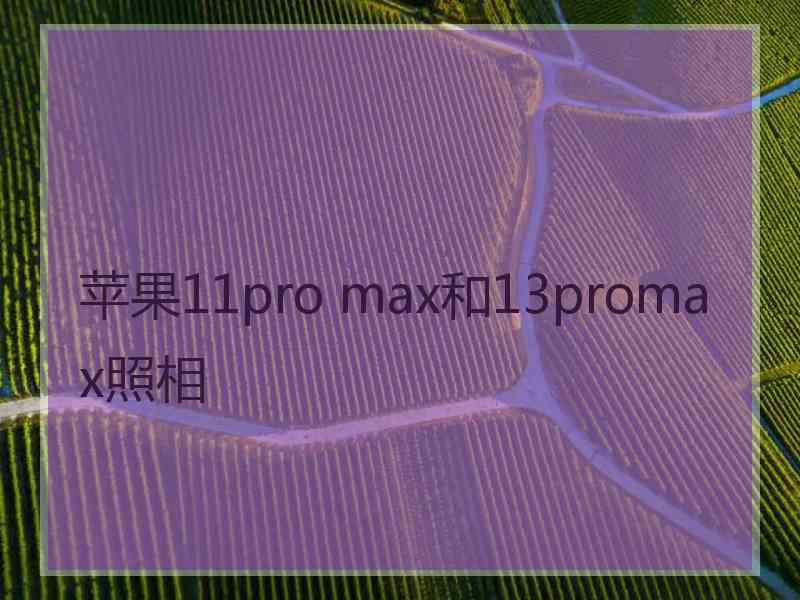 苹果11pro max和13promax照相