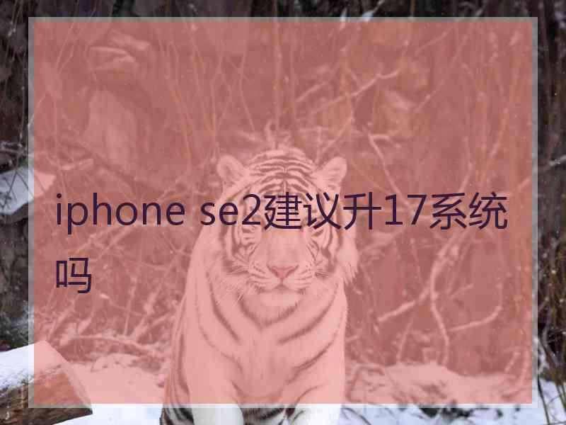 iphone se2建议升17系统吗