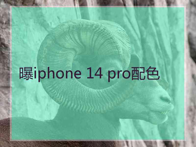 曝iphone 14 pro配色