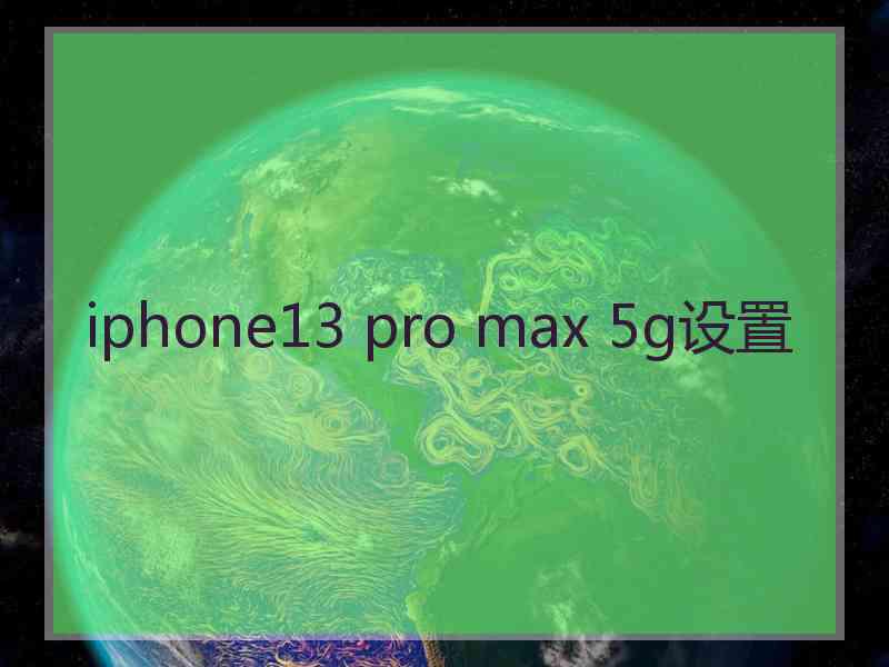 iphone13 pro max 5g设置