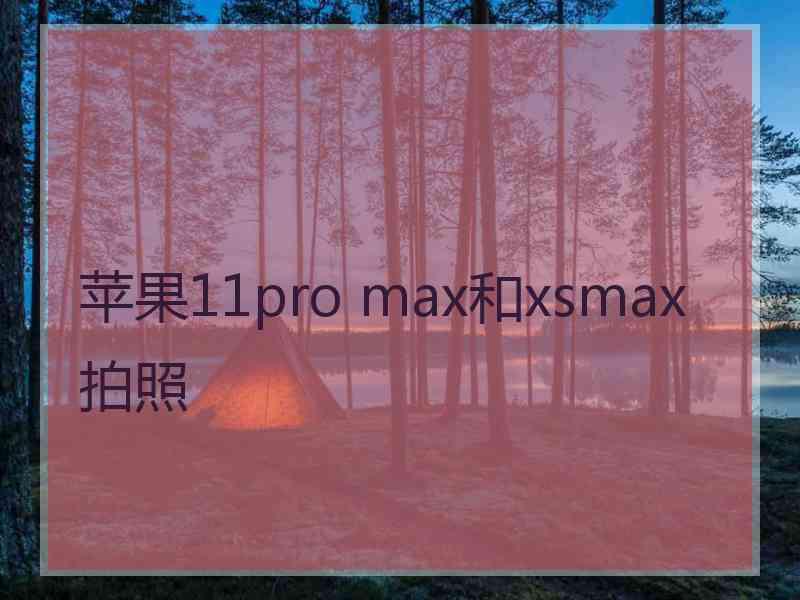 苹果11pro max和xsmax拍照