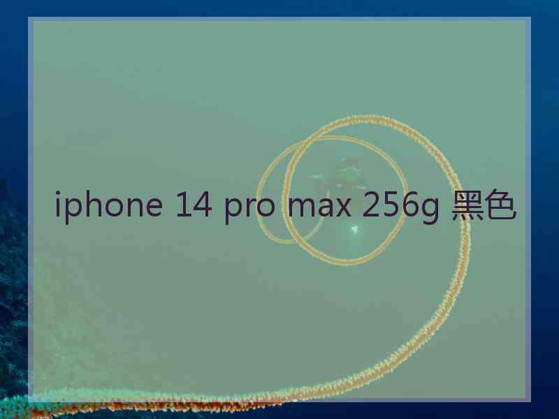 iphone 14 pro max 256g 黑色