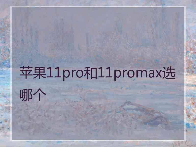 苹果11pro和11promax选哪个