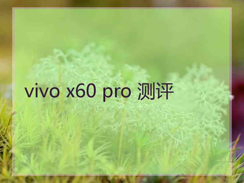 vivo x60 pro 测评