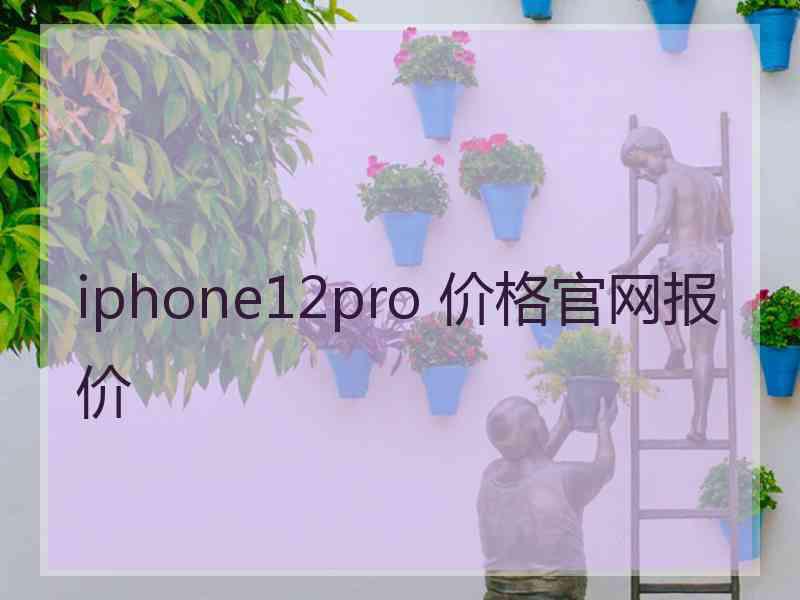 iphone12pro 价格官网报价