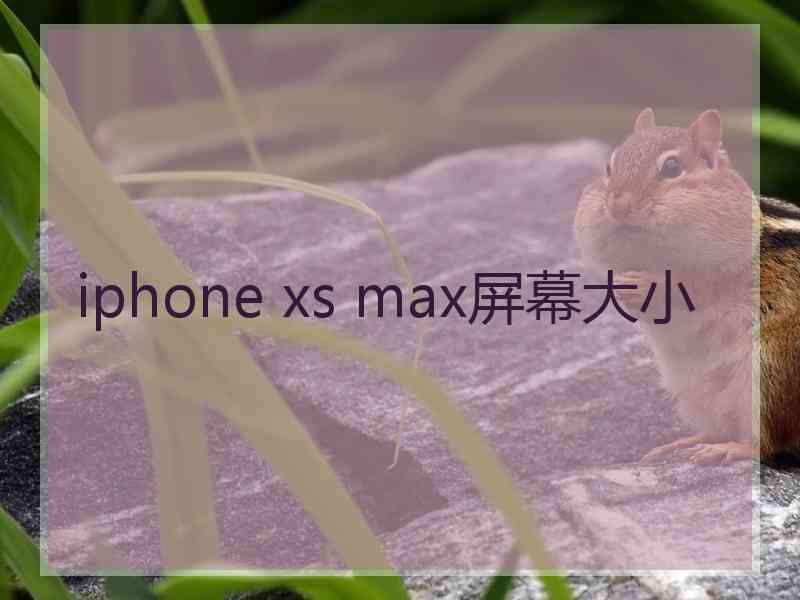 iphone xs max屏幕大小