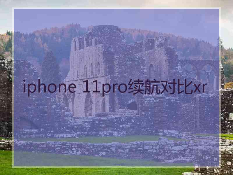 iphone 11pro续航对比xr