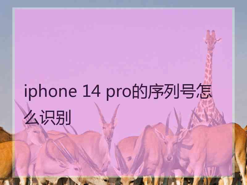 iphone 14 pro的序列号怎么识别