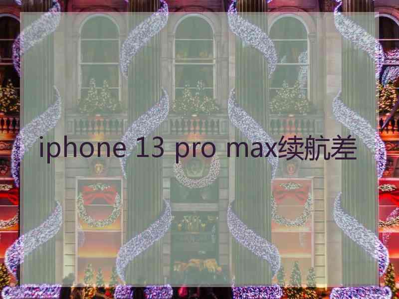 iphone 13 pro max续航差