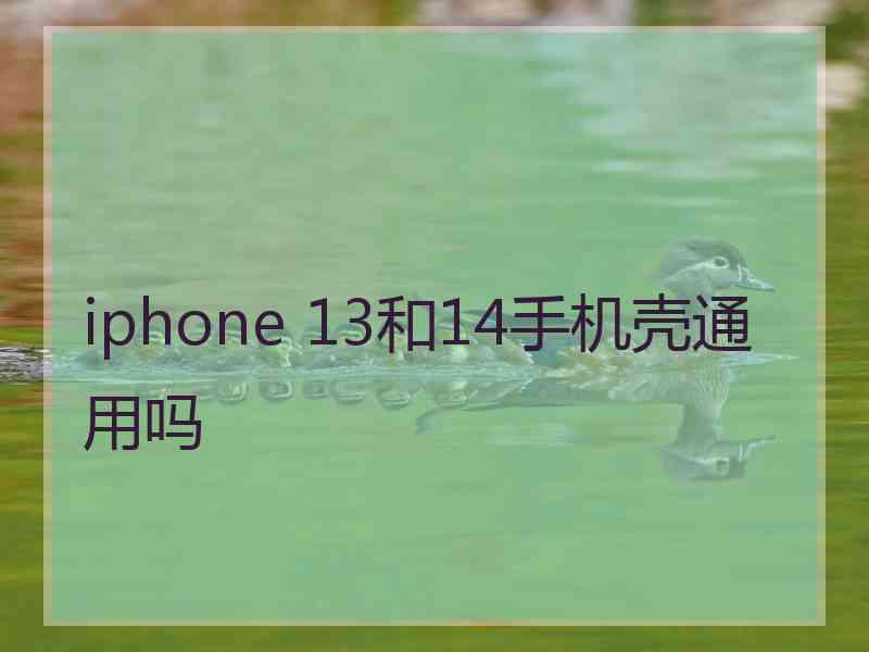 iphone 13和14手机壳通用吗