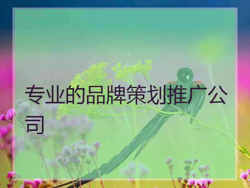 专业的品牌策划推广公司