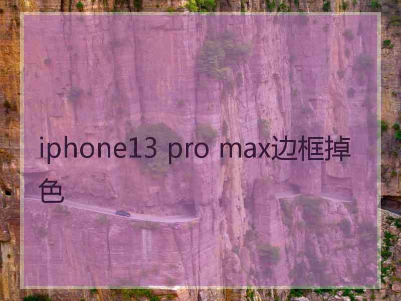 iphone13 pro max边框掉色