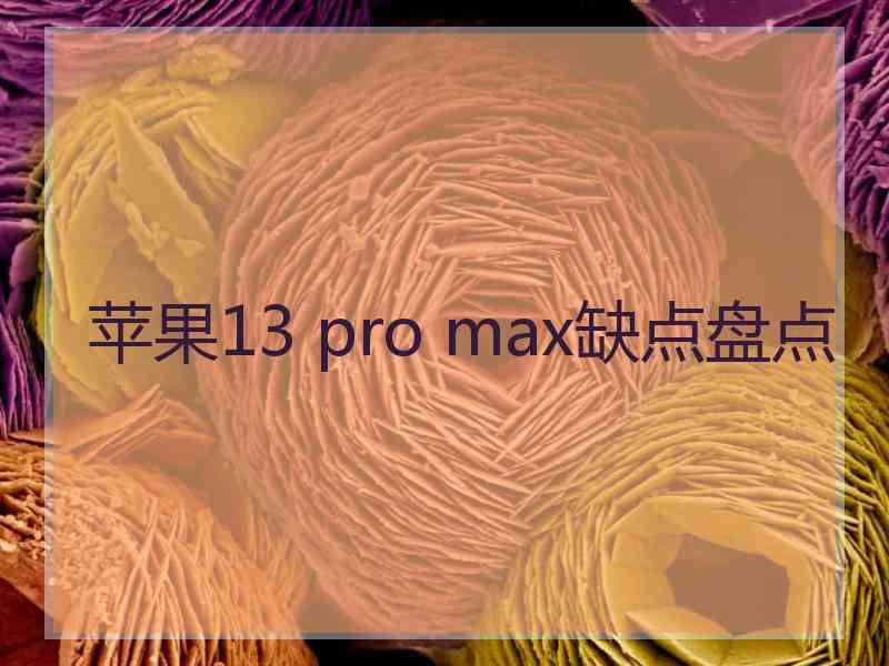 苹果13 pro max缺点盘点