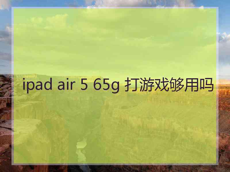 ipad air 5 65g 打游戏够用吗