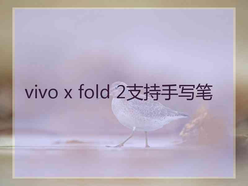 vivo x fold 2支持手写笔