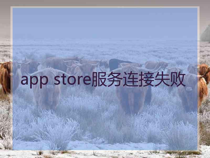 app store服务连接失败