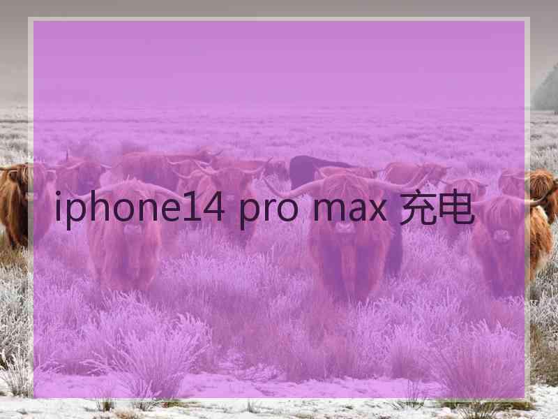 iphone14 pro max 充电