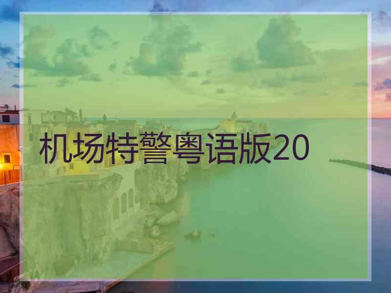 机场特警粤语版20