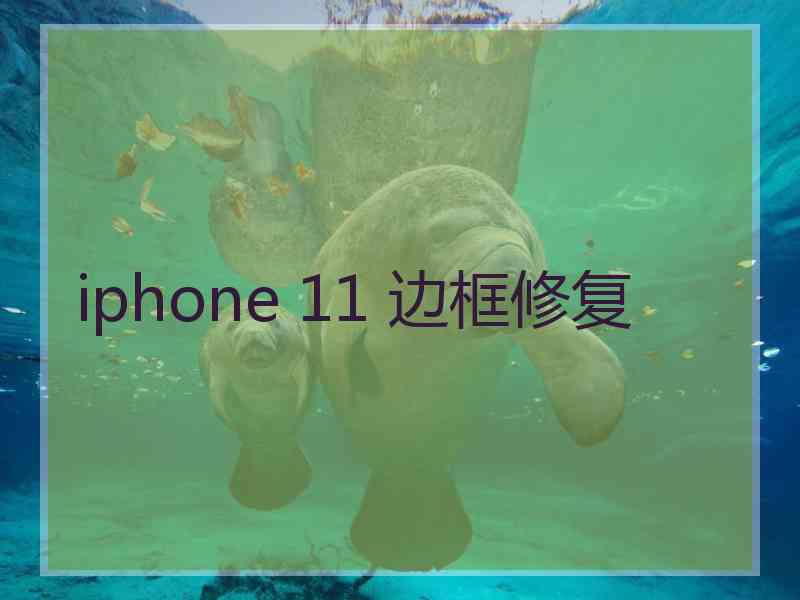 iphone 11 边框修复