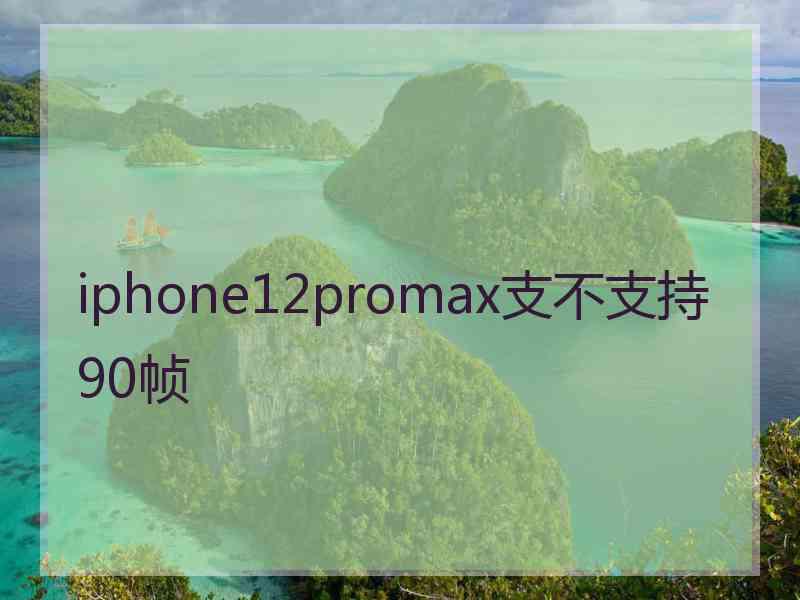 iphone12promax支不支持90帧