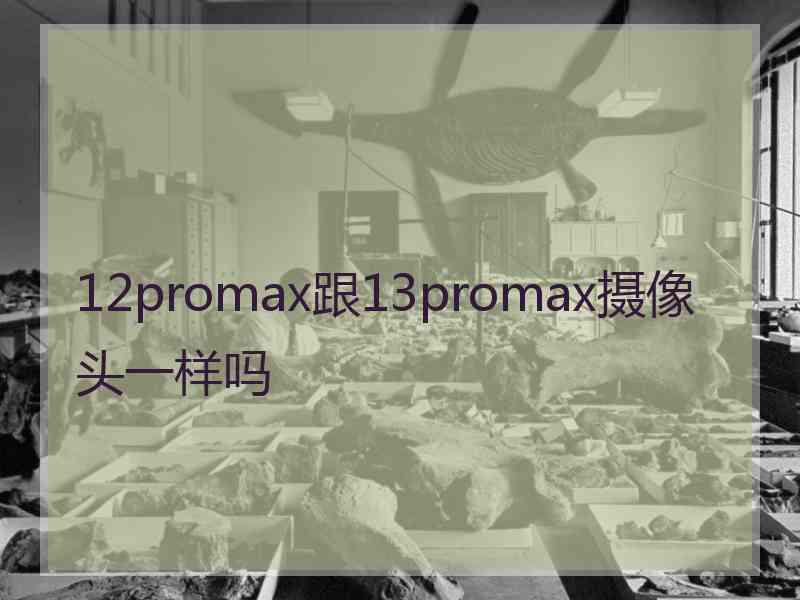 12promax跟13promax摄像头一样吗