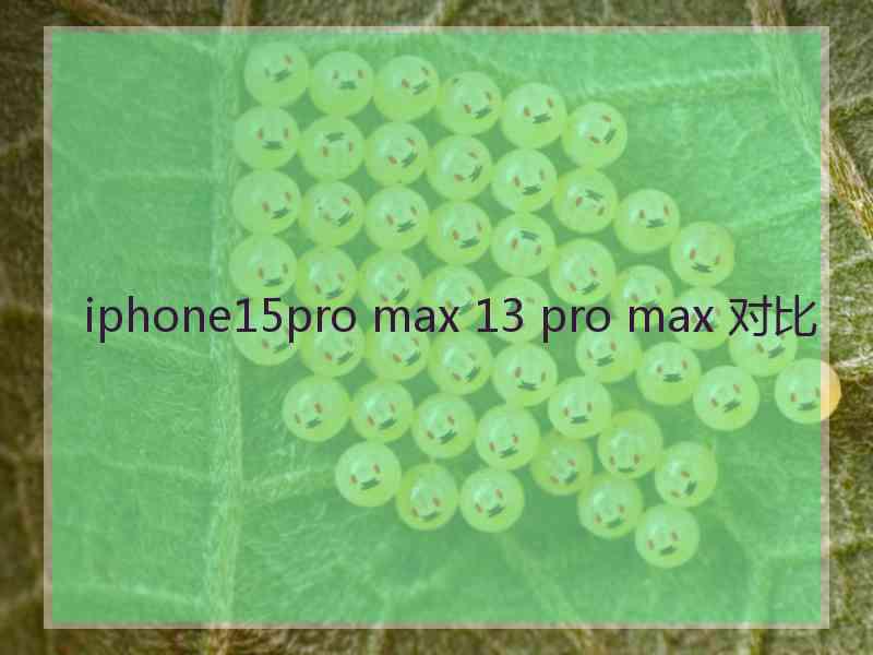 iphone15pro max 13 pro max 对比