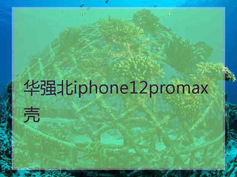 华强北iphone12promax壳