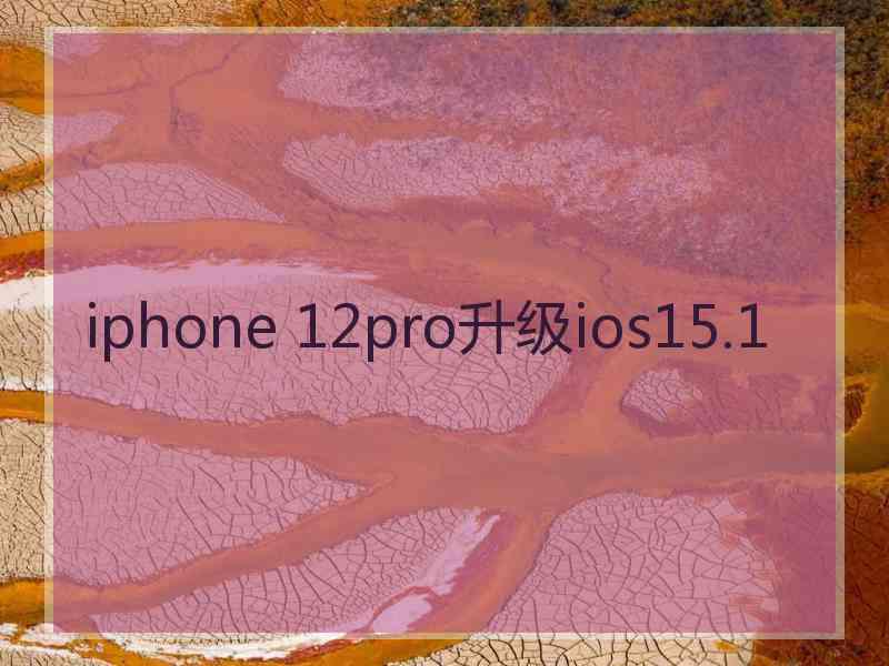 iphone 12pro升级ios15.1