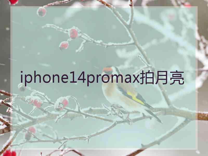 iphone14promax拍月亮