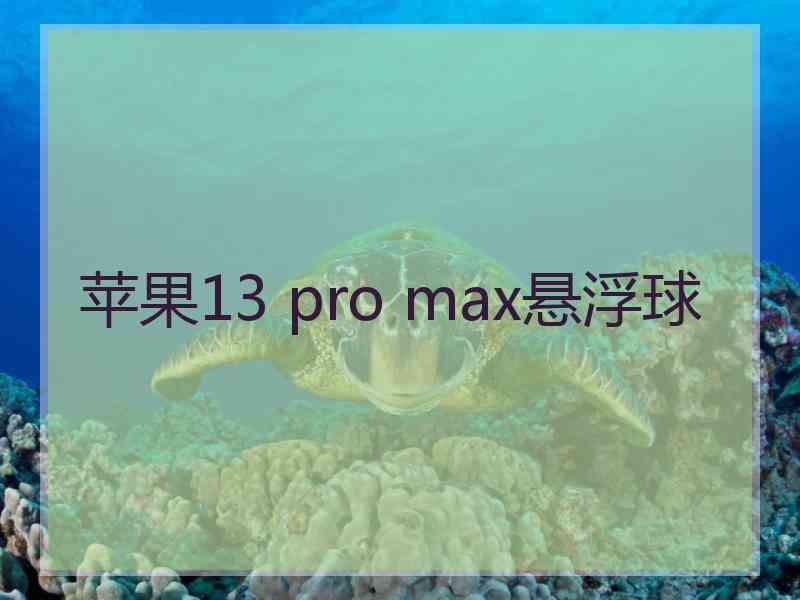 苹果13 pro max悬浮球