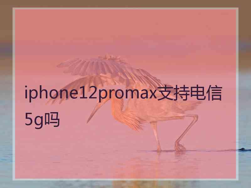 iphone12promax支持电信5g吗